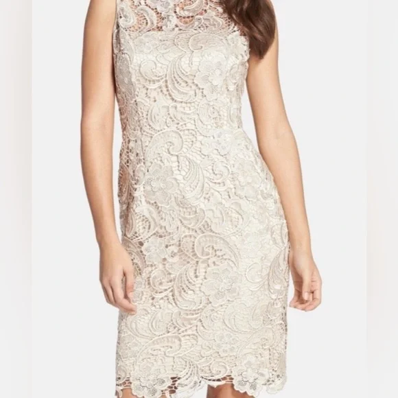 chinese dress ladies Amazon.com: Adrianna Papell Women's Sunrise LACE Illusion Sheath, Bright  Azalea, 6 : Clothing, Shoes & Jewelry